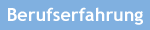 Berufserfahrung